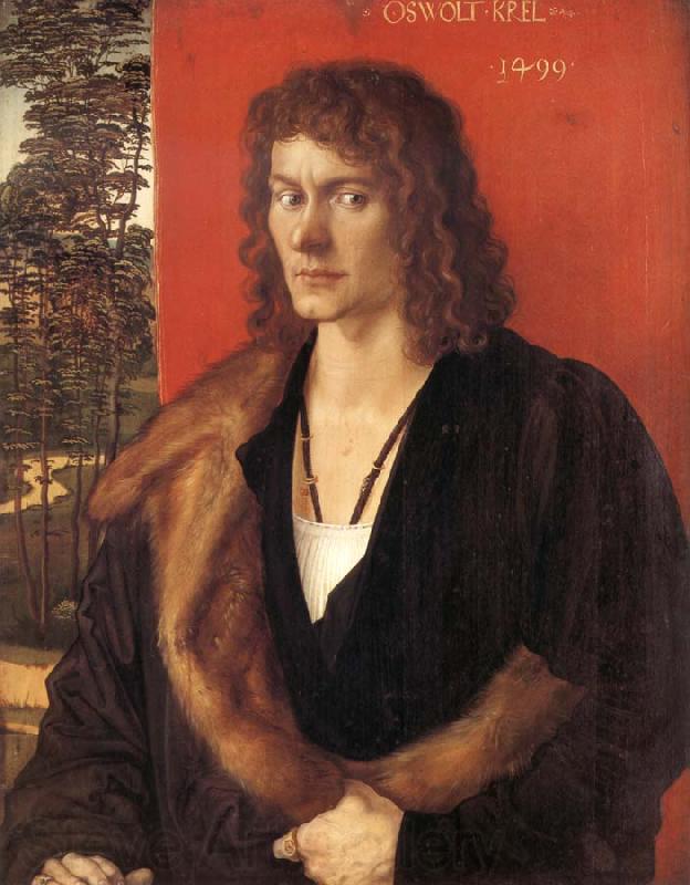 Albrecht Durer Portrait of Oswolt Krel Germany oil painting art